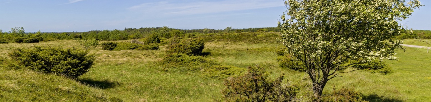 standard_scanpixid20170611-135029-2.jpg