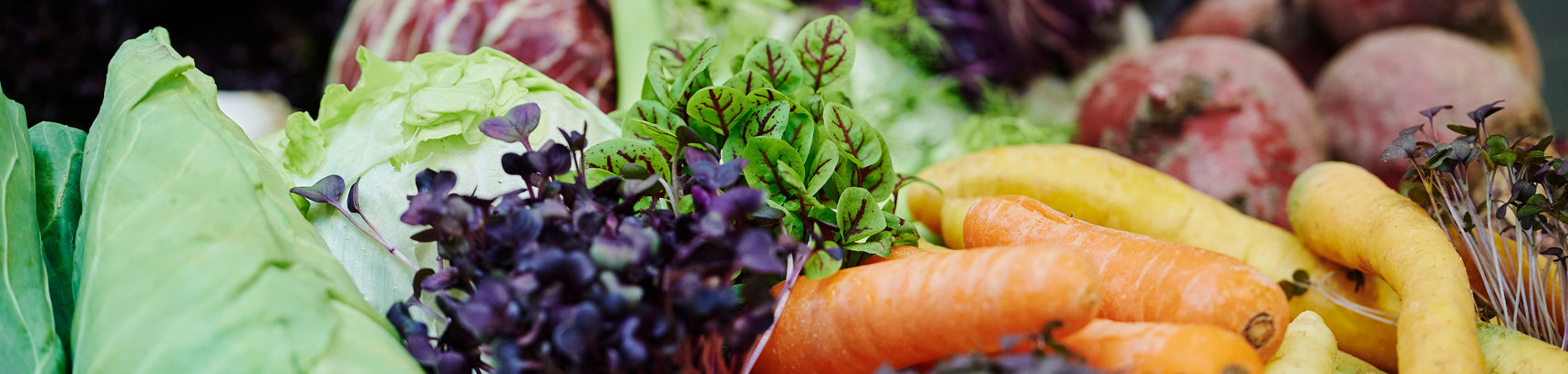 hig-hobro_8500297.jpg (1)